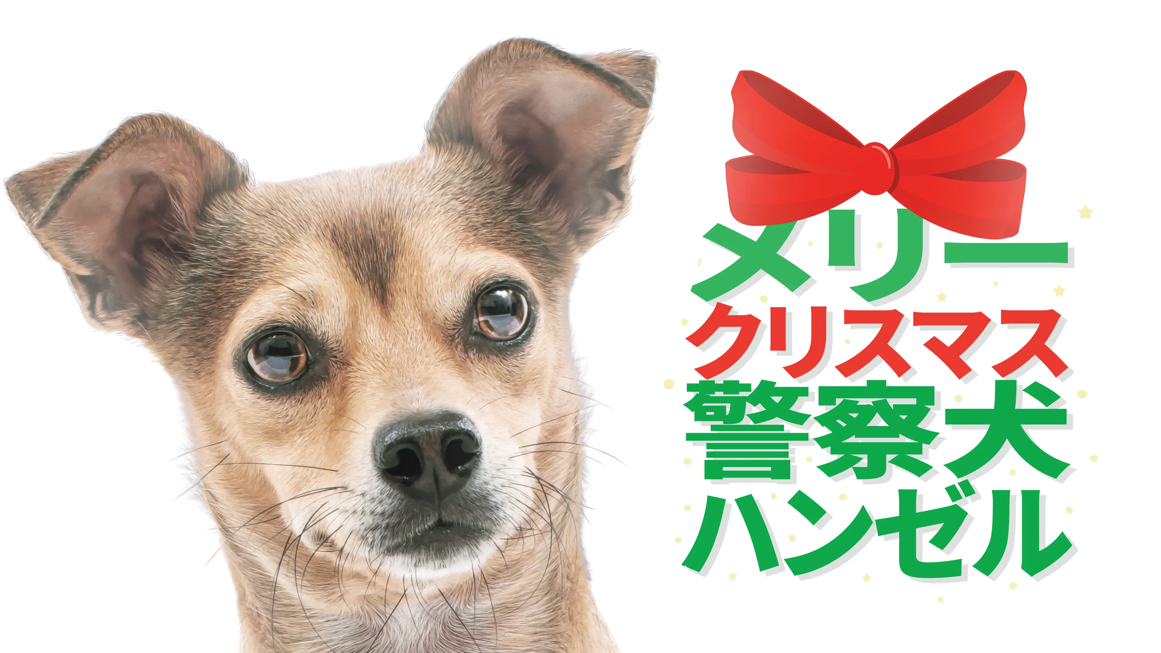 メリークリスマス警察犬ハンゼル poster